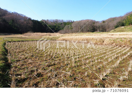 冬の谷戸風景 冬の谷戸風景 71076091