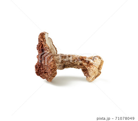 dry forest porcini mushrooms isolated on white background, 71078049
