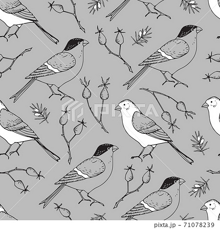Elegant hand drawn Christmas seamless pattern with bullfinch and goldfinch birds and rose hips. Winter vintage engraving design. Grey vector illustration background. Floral tile for fabrics, textile. 71078239