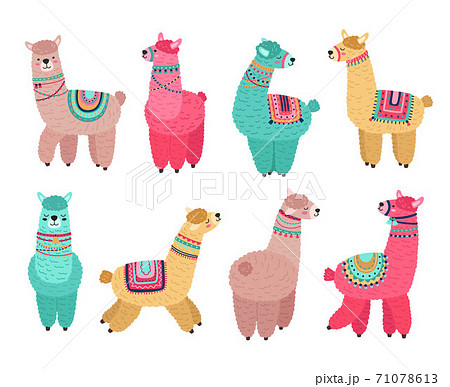 Cute Llama Funny Alpaca Cute Llamas Mexican のイラスト素材