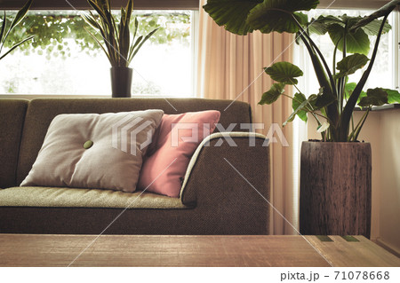 Modern design living room with close up stylish sofa and colorful pillows, trendy design with green house plant in retro home close up 71078668