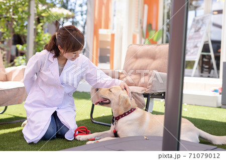 獣医さん 71079012