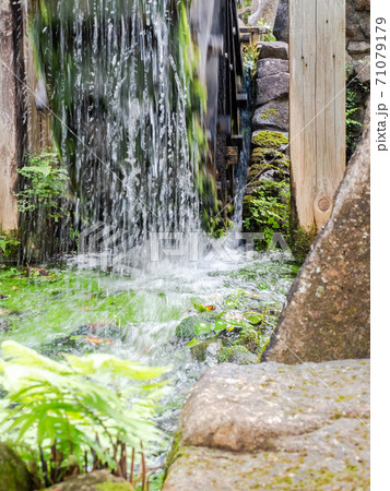 三鷹市大沢の原風景　段丘と湧き水と農　勢いよく回る水車 71079179