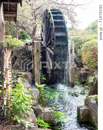 三鷹市大沢の原風景　段丘と湧き水と農　勢いよく回る水車 71079192
