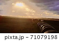 夕日に照らされる田んぼ 71079198