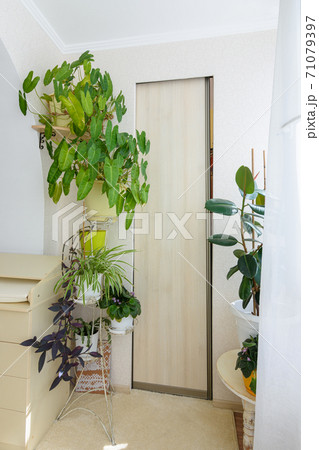 Built-in wardrobe hidden by a compartment door on a spacious glazed balcony Built-in wardrobe hidden by a compartment door on a spacious glazed balcony 71079397