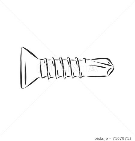 screws, nails isolated on a white background. Vector illustration, metal screw vector sketch illustration 71079712