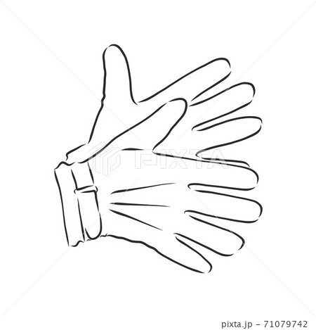 Sketch of winter gloves, vector illustration isoltaed on white background, pair of gloves, gloves, vector sketch illustration Sketch of winter gloves, vector illustration isoltaed on white background, pair of gloves, gloves, vector sketch illustration 71079742