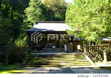 武蔵国二之宮　金鑚神社の拝殿 71079794