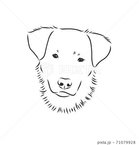 mangy dog drawing