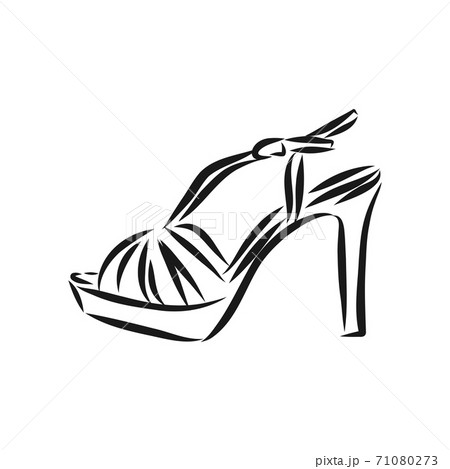 Woman's shoe, vector sketch, women's Shoe, vector sketch illustration Woman's shoe, vector sketch, women's Shoe, vector sketch illustration 71080273