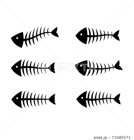 Fish bone or skeleton set vector illustration in a cartoon flat style Fish bone or skeleton set vector illustration in a cartoon flat style 71080371