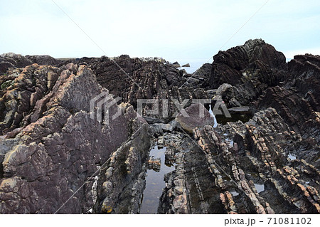 新村遊歩道【室戸世界ジオパーク】 新村遊歩道【室戸世界ジオパーク】 71081102