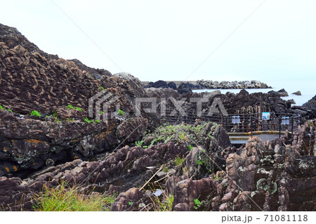 新村遊歩道【室戸世界ジオパーク】 71081118