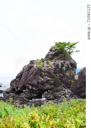 新村遊歩道【室戸世界ジオパーク】 71081125