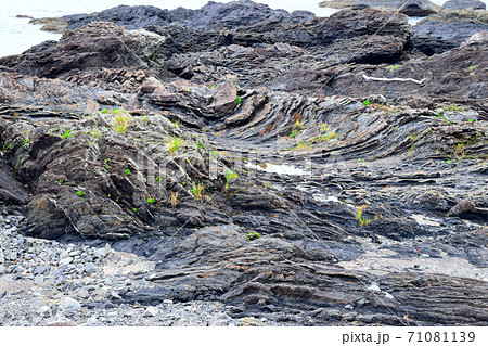新村遊歩道【室戸世界ジオパーク】 新村遊歩道【室戸世界ジオパーク】 71081139