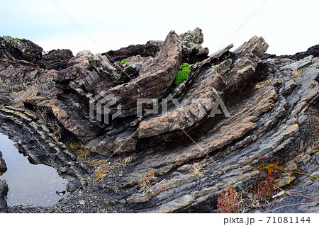 新村遊歩道【室戸世界ジオパーク】 71081144