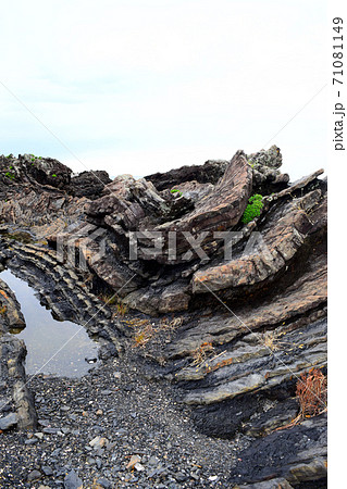 新村遊歩道【室戸世界ジオパーク】 71081149