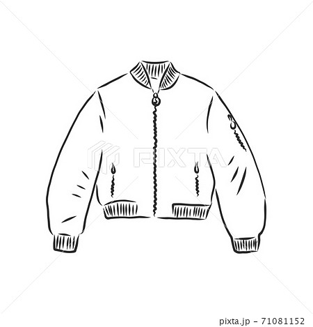 bomber sketch. bomber jacket, vector sketch bomber sketch. bomber jacket, vector sketch 71081152