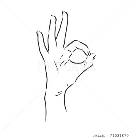 Hand OK Sign Isolated on White Background. Sketch 71081370