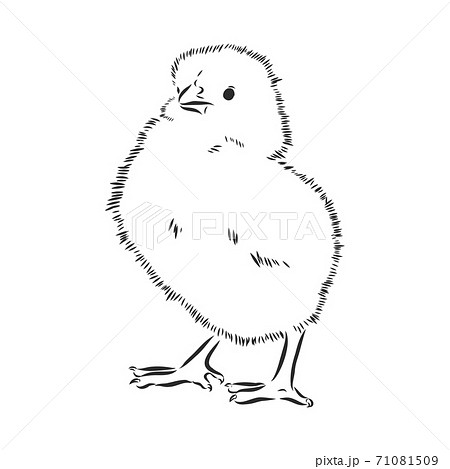 Hens and chickens drawings  Ecosia  Coloring pages Free clip art  Chicken drawing