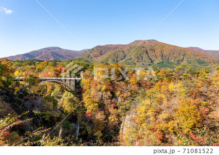 【宮城県】紅葉の鳴子峡 【宮城県】紅葉の鳴子峡 71081522
