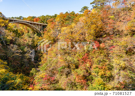 【宮城県】紅葉の鳴子峡 【宮城県】紅葉の鳴子峡 71081527