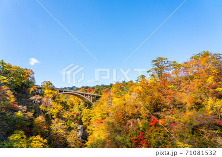 【宮城県】紅葉の鳴子峡 【宮城県】紅葉の鳴子峡 71081532