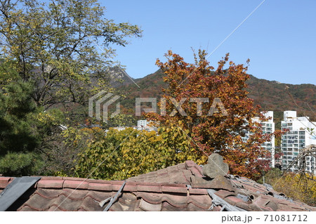風景 秋 紅葉 71081712