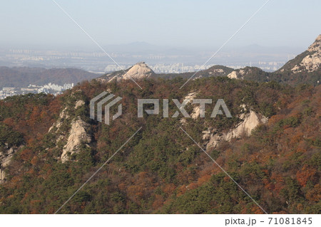 風景 秋 ソウル市 71081845