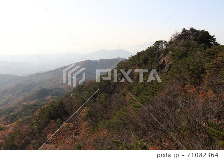 風景 山 秋 71082364