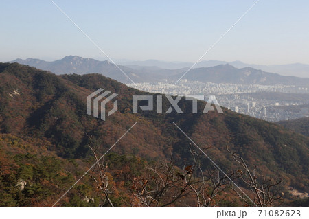 景色 風景 秋 71082623