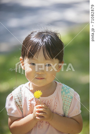 たんぽぽを持つ子ども 71082879