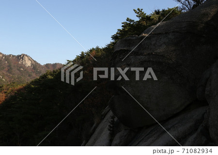 山 風景 秋 71082934