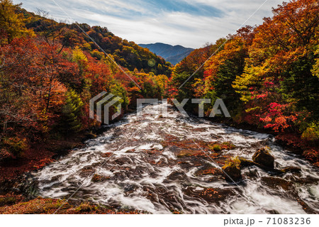 秋の日光・湯川【栃木県】 71083236