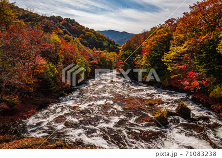 秋の日光・湯川【栃木県】 71083238