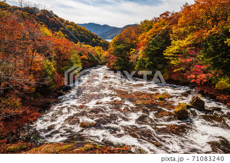 秋の日光・湯川【栃木県】 71083240
