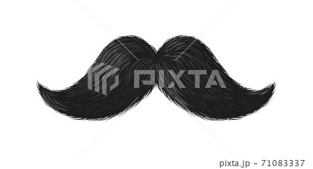 Black moustache. Cute curly simple mustache, hipster barbershop fashion logo, humor party photobooth props, groom silhouette symbol, human face hair male whisker vector illustration Black moustache. Cute curly simple mustache, hipster barbershop fashion logo, humor party photobooth props, groom silhouette symbol, human face hair male whisker vector illustration 71083337