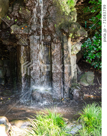 国立市谷保の湧き水から流れ落ちる小滝 71083799