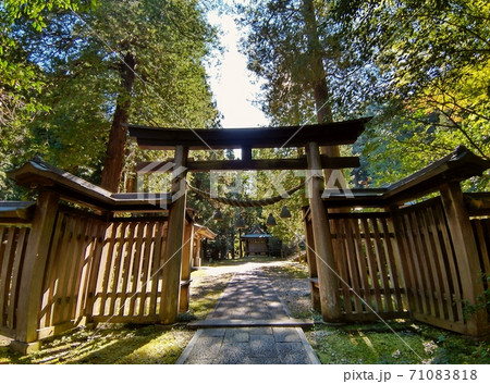 武蔵国二之宮 金鑚神社の参道 武蔵国二之宮 金鑚神社の参道 71083818
