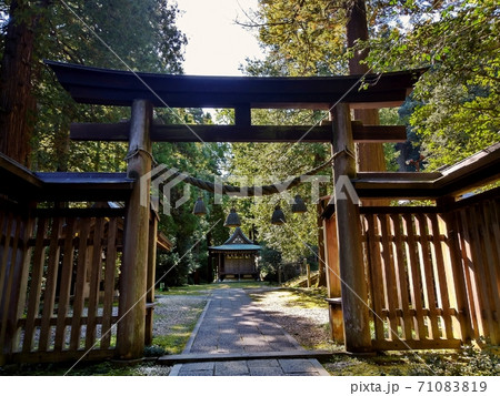 武蔵国二之宮　金鑚神社の参道 71083819