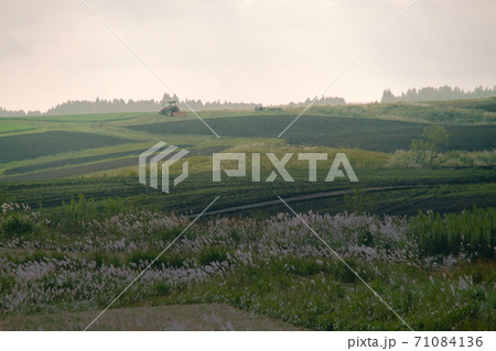 一休み中のトラクター 71084136