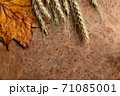 紅葉のユリノキと木の板 71085001