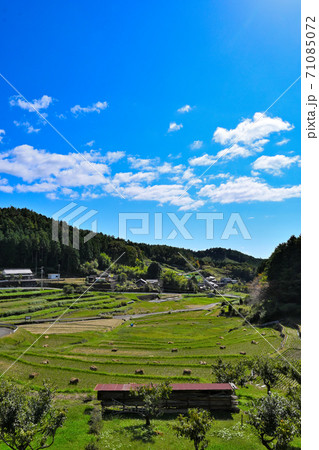 上代田の秋の風景・八百津町 71085072