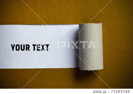 A torn strip of a sheet of golden brown paper is rolled into a roll. Place for text A torn strip of a sheet of golden brown paper is rolled into a roll. Place for text 71085589