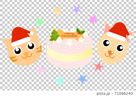 Christmas cake for pets Christmas cake for pets 71086240