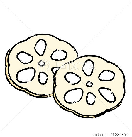 日本食 お節 縁起物 酢蓮 イラスト 日本食 お節 縁起物 酢蓮 イラスト 71086356