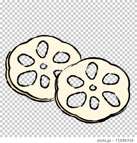 日本食 お節 縁起物 酢蓮 イラスト 日本食 お節 縁起物 酢蓮 イラスト 71086356
