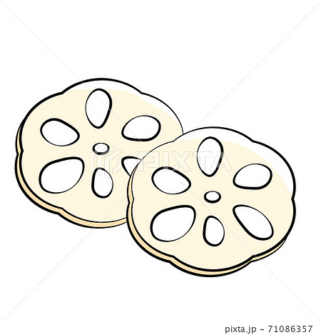日本食 お節 縁起物 酢蓮 イラスト 日本食 お節 縁起物 酢蓮 イラスト 71086357