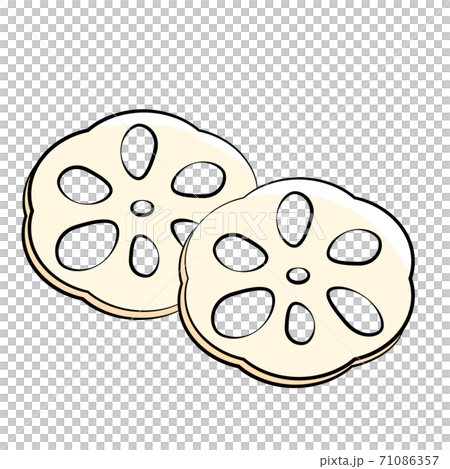 日本食 お節 縁起物 酢蓮 イラスト 日本食 お節 縁起物 酢蓮 イラスト 71086357